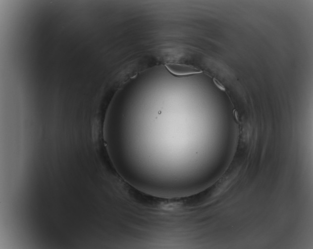 X0000089660283200706281327