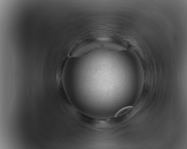 X0000089660285200706281327