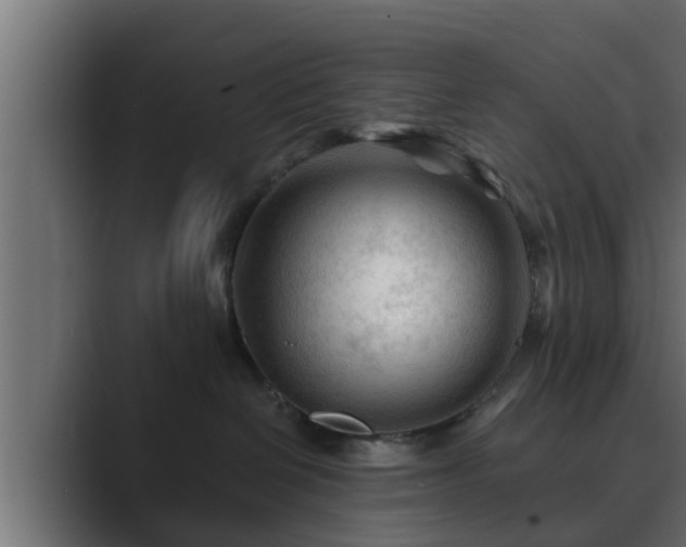 X0000089660286200706281327