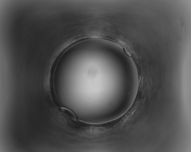 X0000089660292200706281326