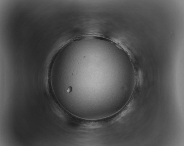 X0000089660293200706281326