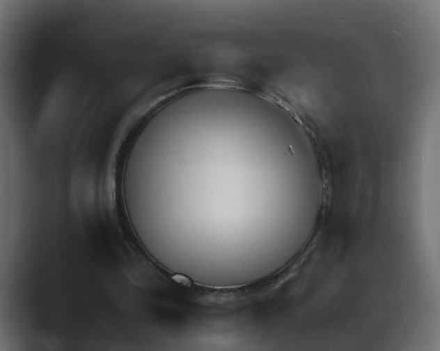 X0000089660294200706281326