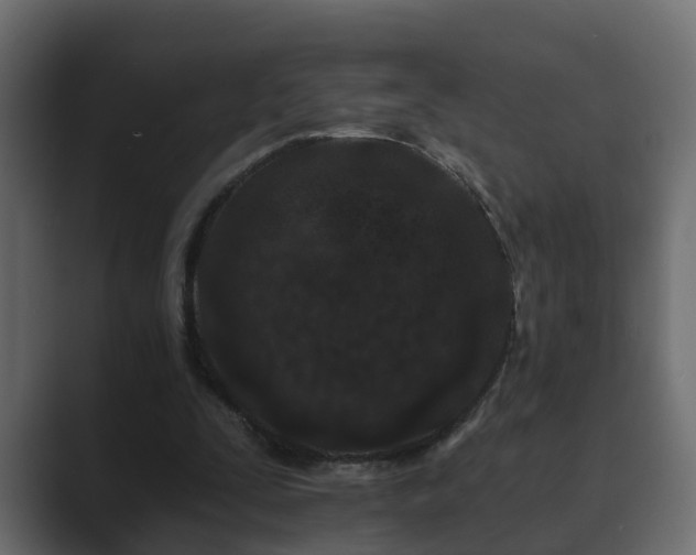 X0000089660295200706281326