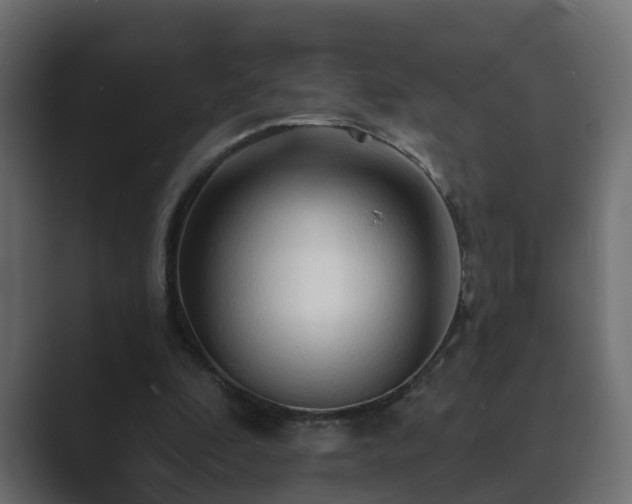 X0000089660296200706281326