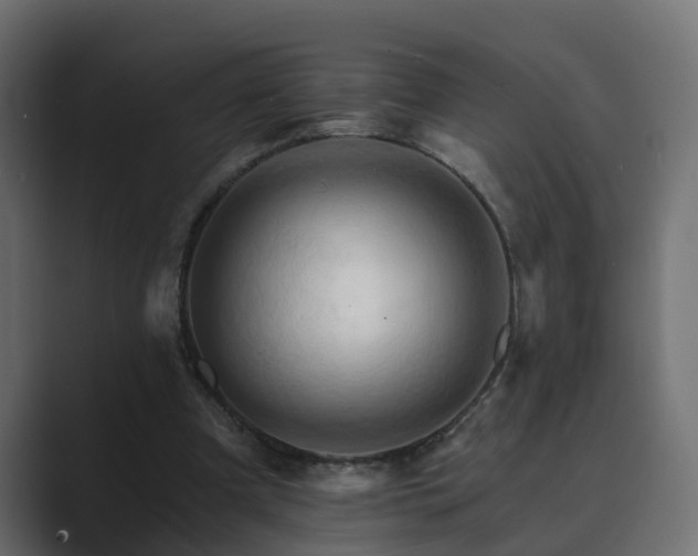 X0000089660297200706281326