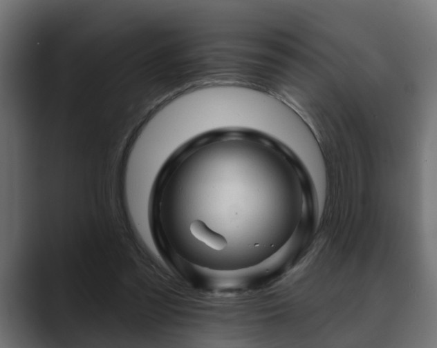 X0000089660301200706281326