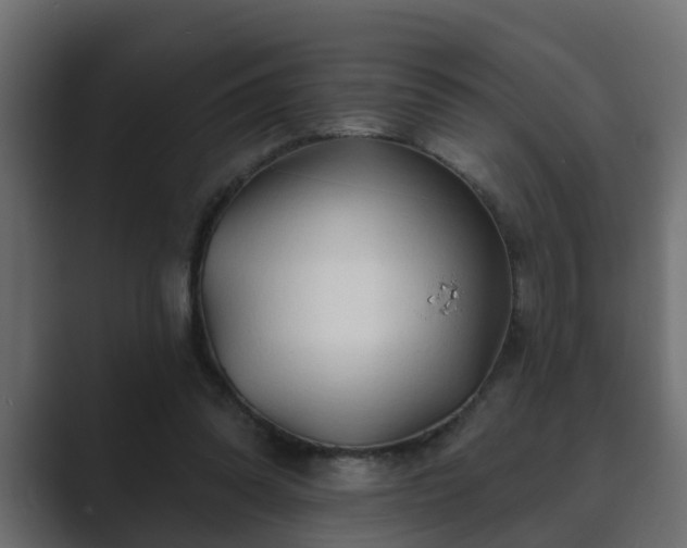 X0000089660302200706281326