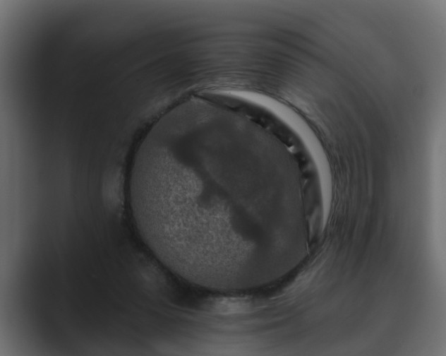 X0000089660303200706281326