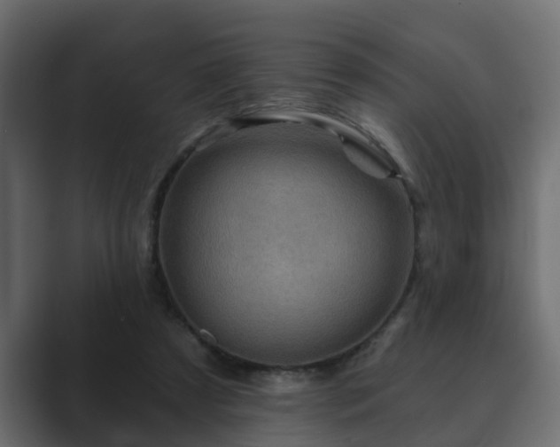 X0000089660305200706281326