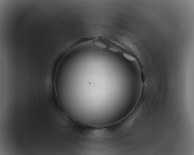 X0000089660306200706281326
