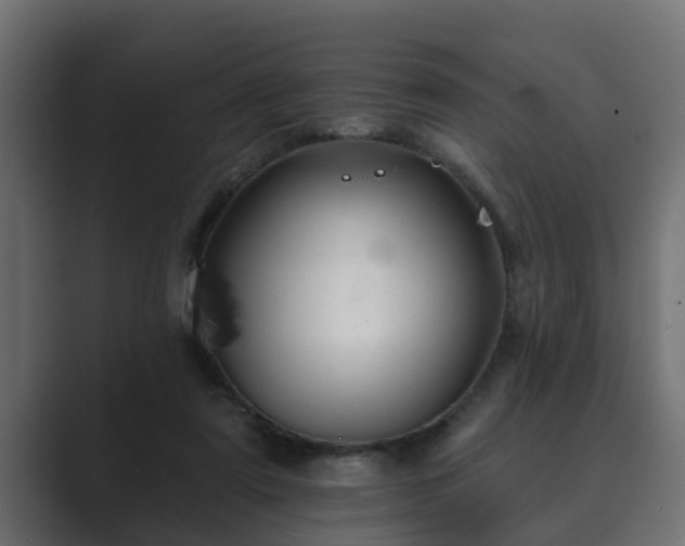 X0000089660307200706281326