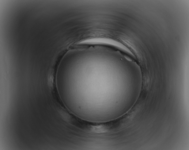 X0000089660309200706281326