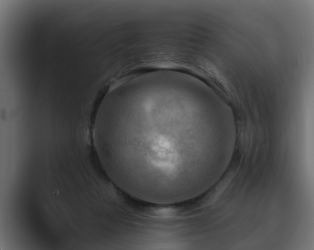 X0000089660313200706281326