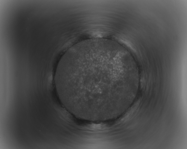 X0000089660314200706281326