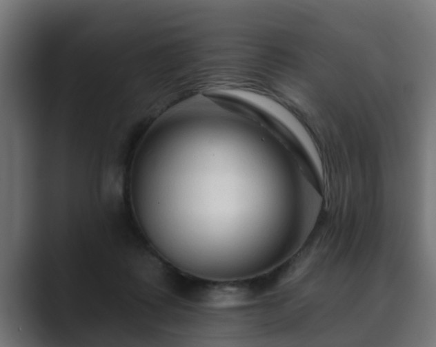 X0000089660315200706281326