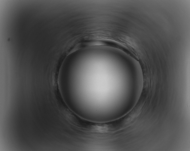 X0000089660317200706281326