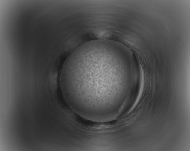 X0000089660319200706281326