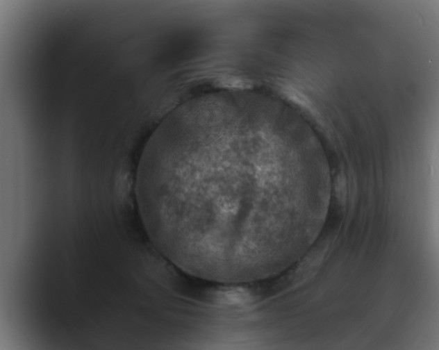 X0000089660322200706281326