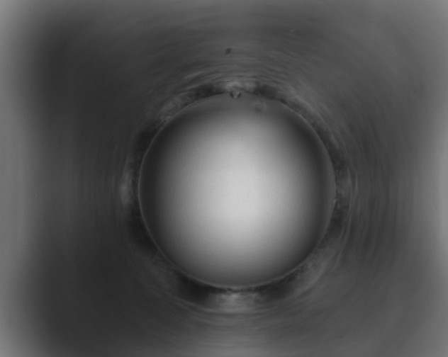 X0000089660323200706281326