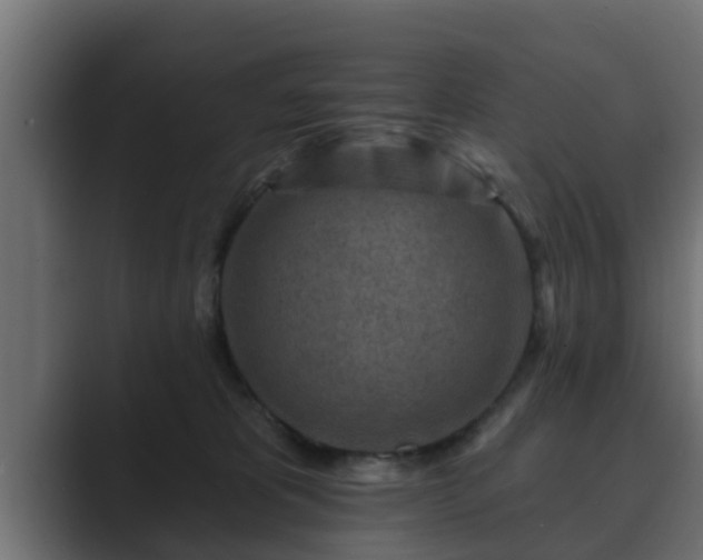 X0000089660325200706281326