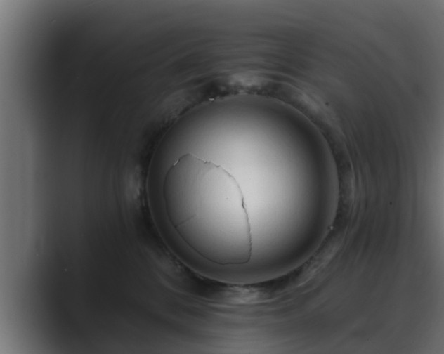 X0000089660328200706281326