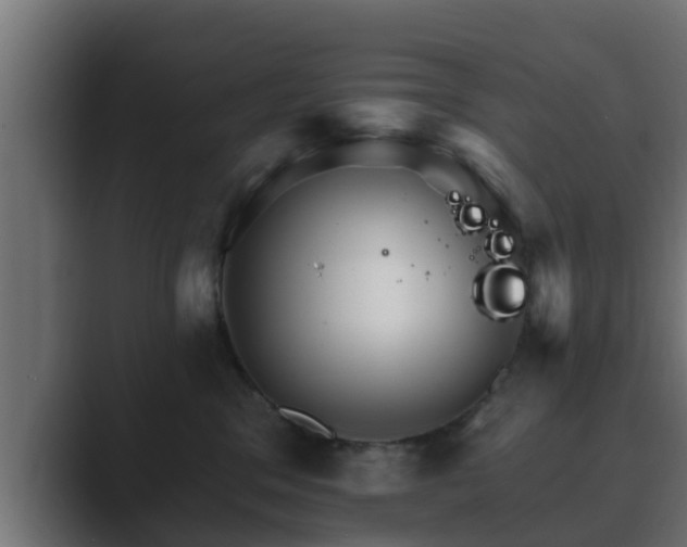 X0000089660329200706281326