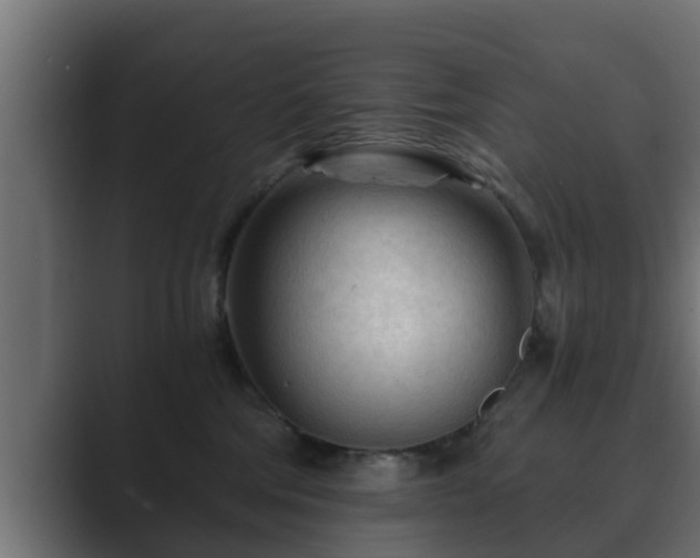 X0000089660330200706281326