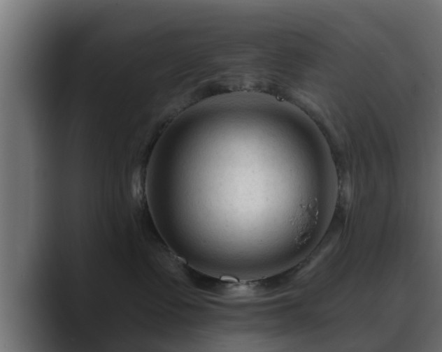 X0000089660335200706281326