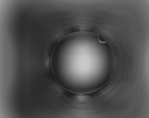 X0000089660336200706281325