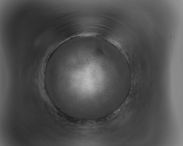 X0000089660337200706281325