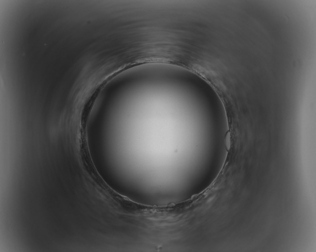 X0000089660338200706281325
