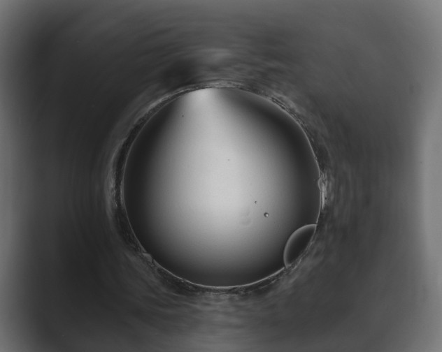 X0000089660339200706281325
