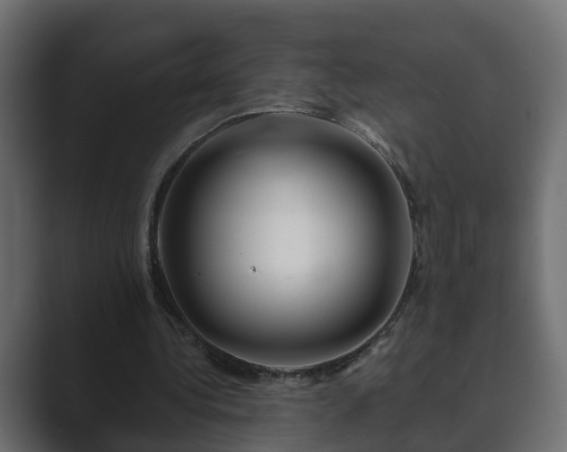 X0000089660340200706281325