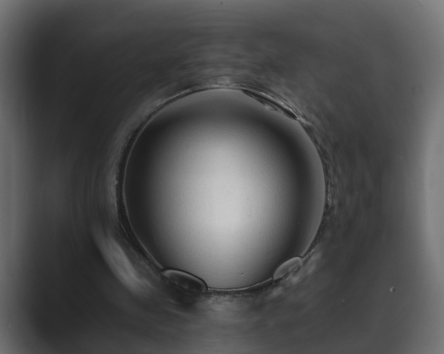 X0000089660341200706281325
