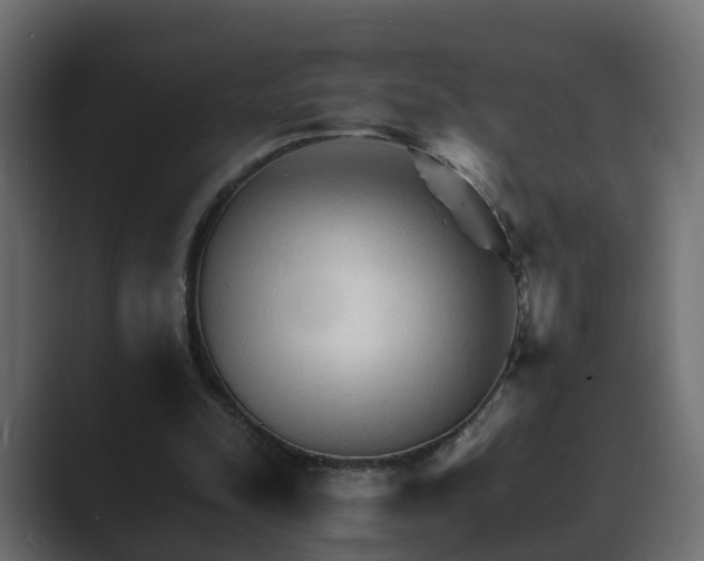 X0000089660342200706281325