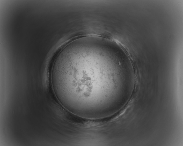 X0000089660343200706281325