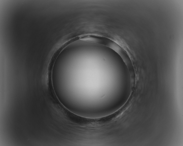 X0000089660344200706281325