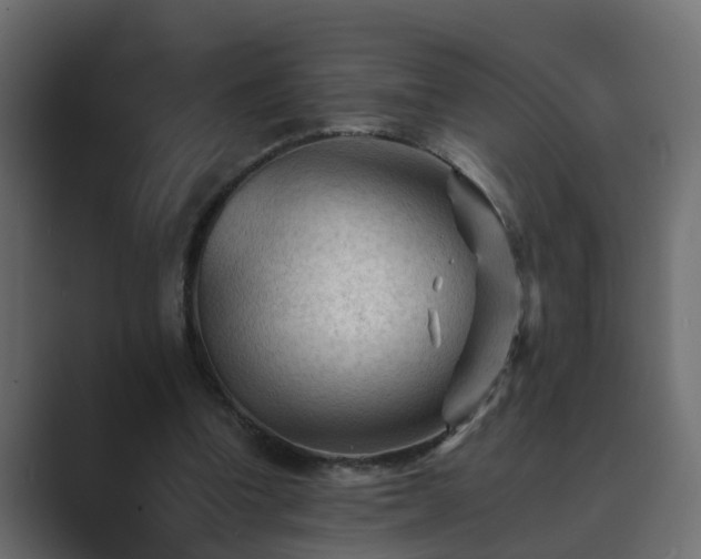 X0000089660346200706281325