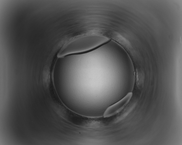 X0000089660348200706281325