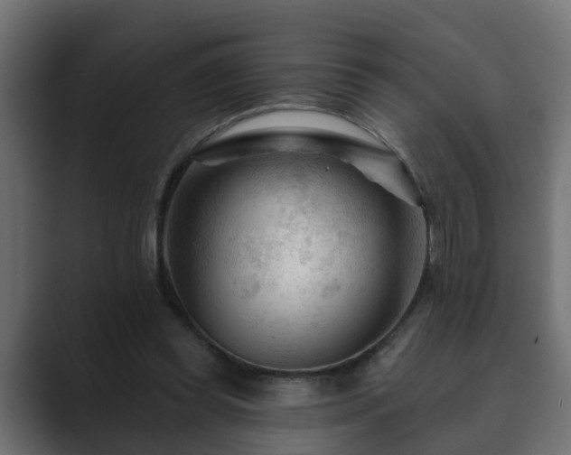 X0000089660349200706281325