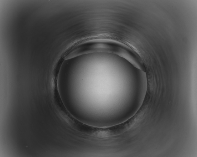 X0000089660350200706281325