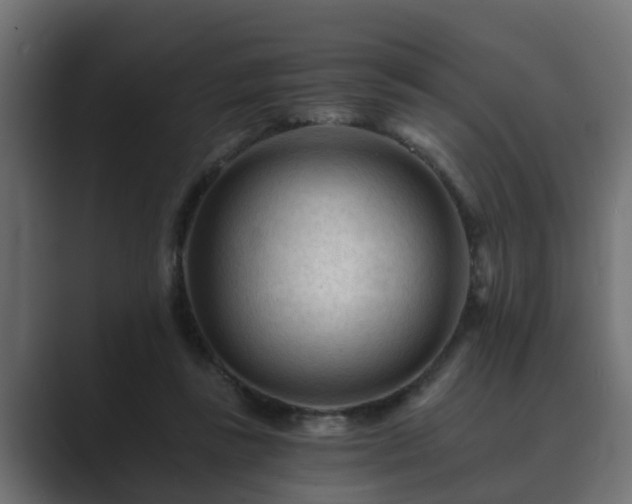 X0000089660355200706281325