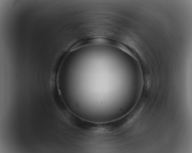 X0000089660356200706281325