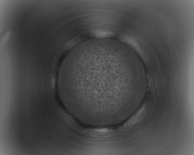 X0000089660357200706281325