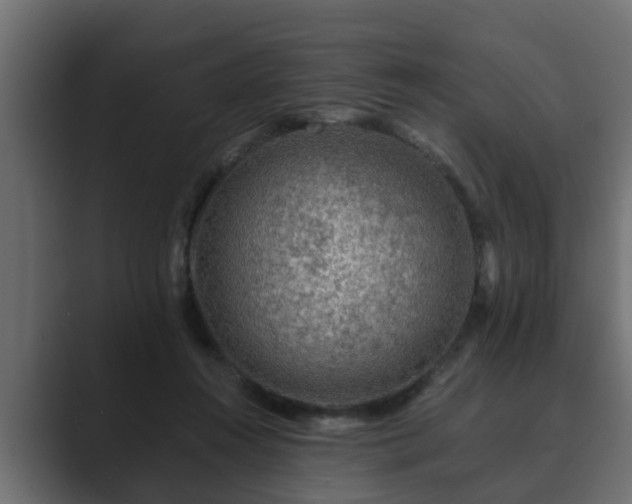 X0000089660360200706281325