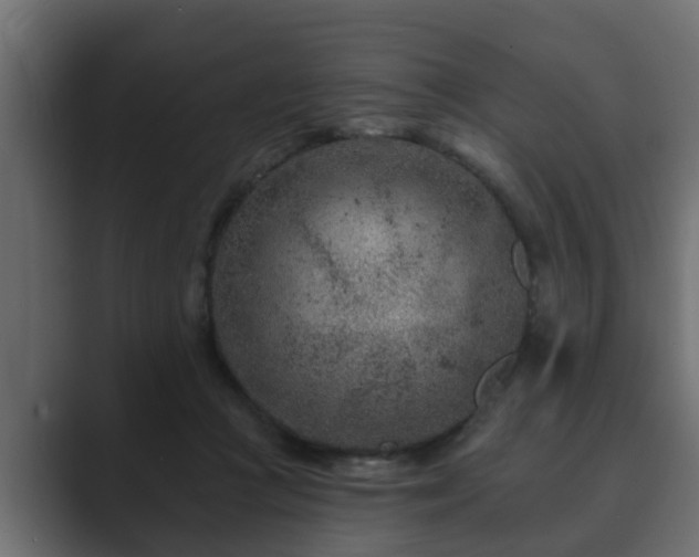 X0000089660361200706281325