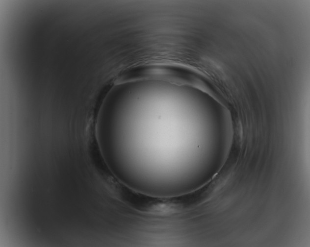 X0000089660364200706281325