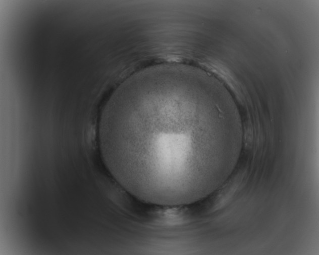 X0000089660365200706281325