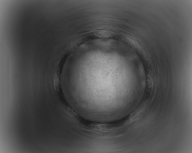 X0000089660371200706281325