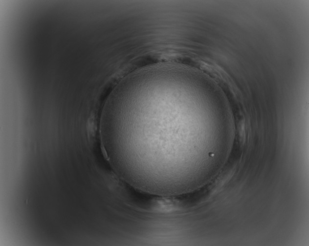 X0000089660372200706281325
